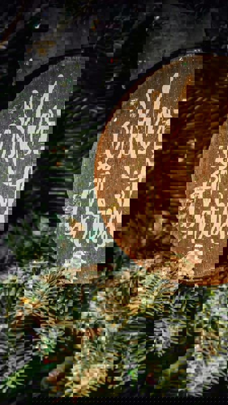 Pexels Brett Sayles 1656564