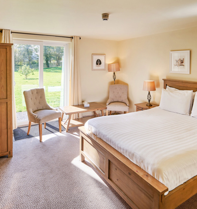 Pet Friendly Room at Comis Hotel Isle of Man